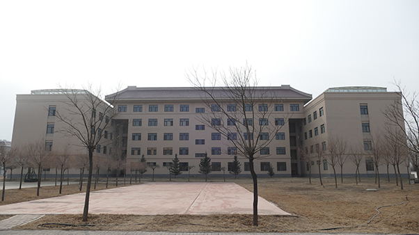 北京某部大院项目工程(图3)